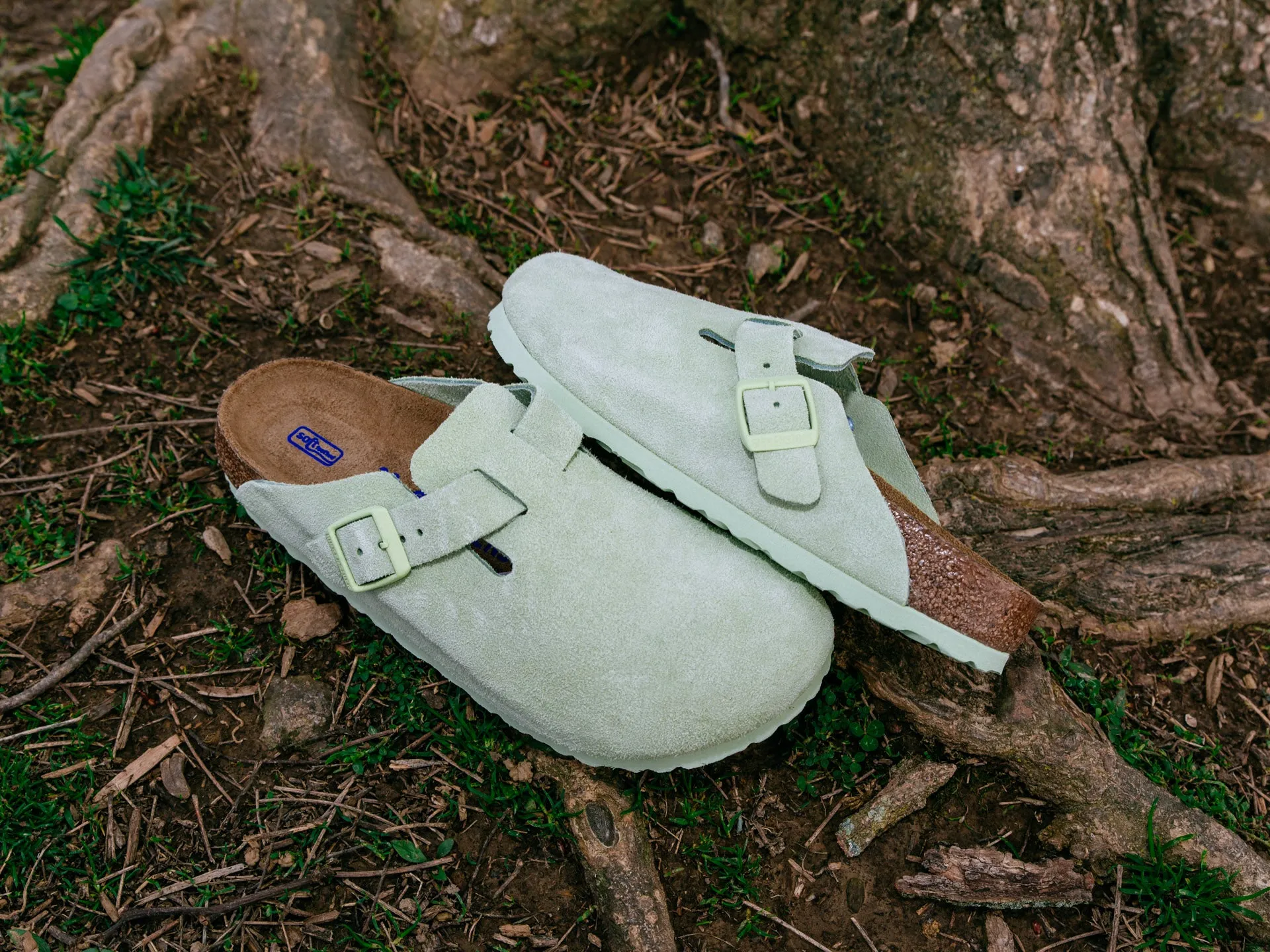 Birkenstock Boston Soft Footbed 'Faded Lime'