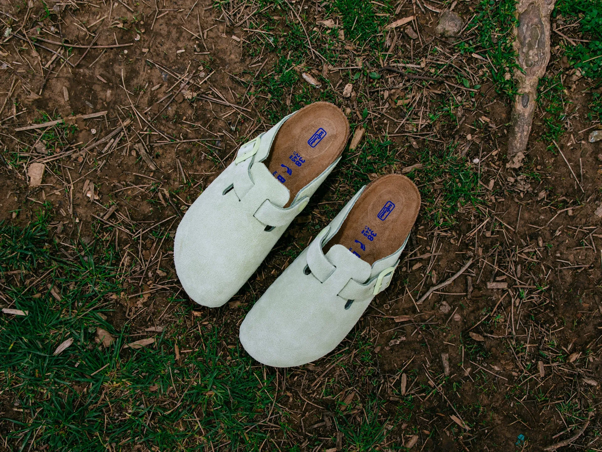 Birkenstock Boston Soft Footbed 'Faded Lime'