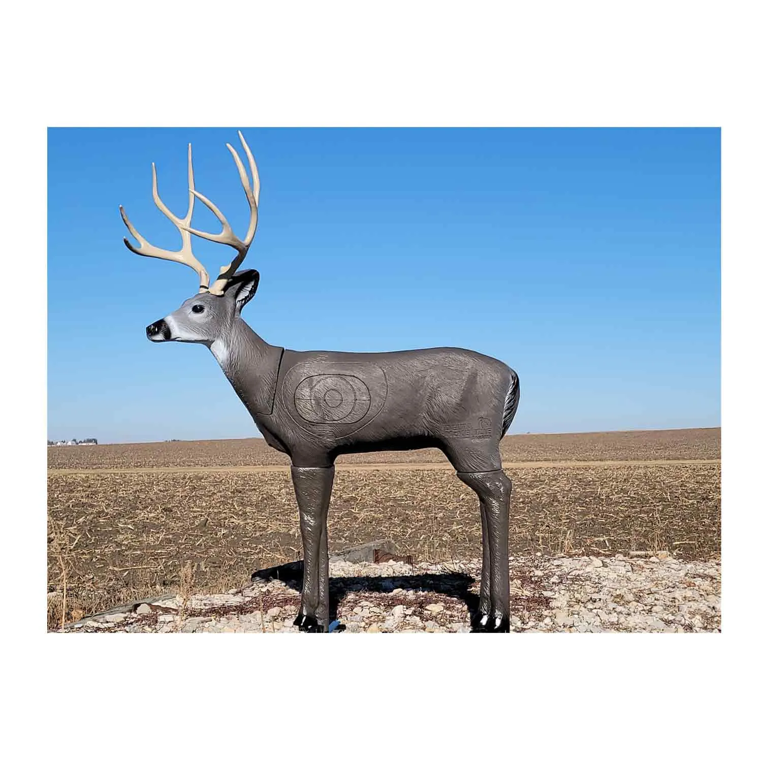 Delta McKenzie Mule Deer 3D Target