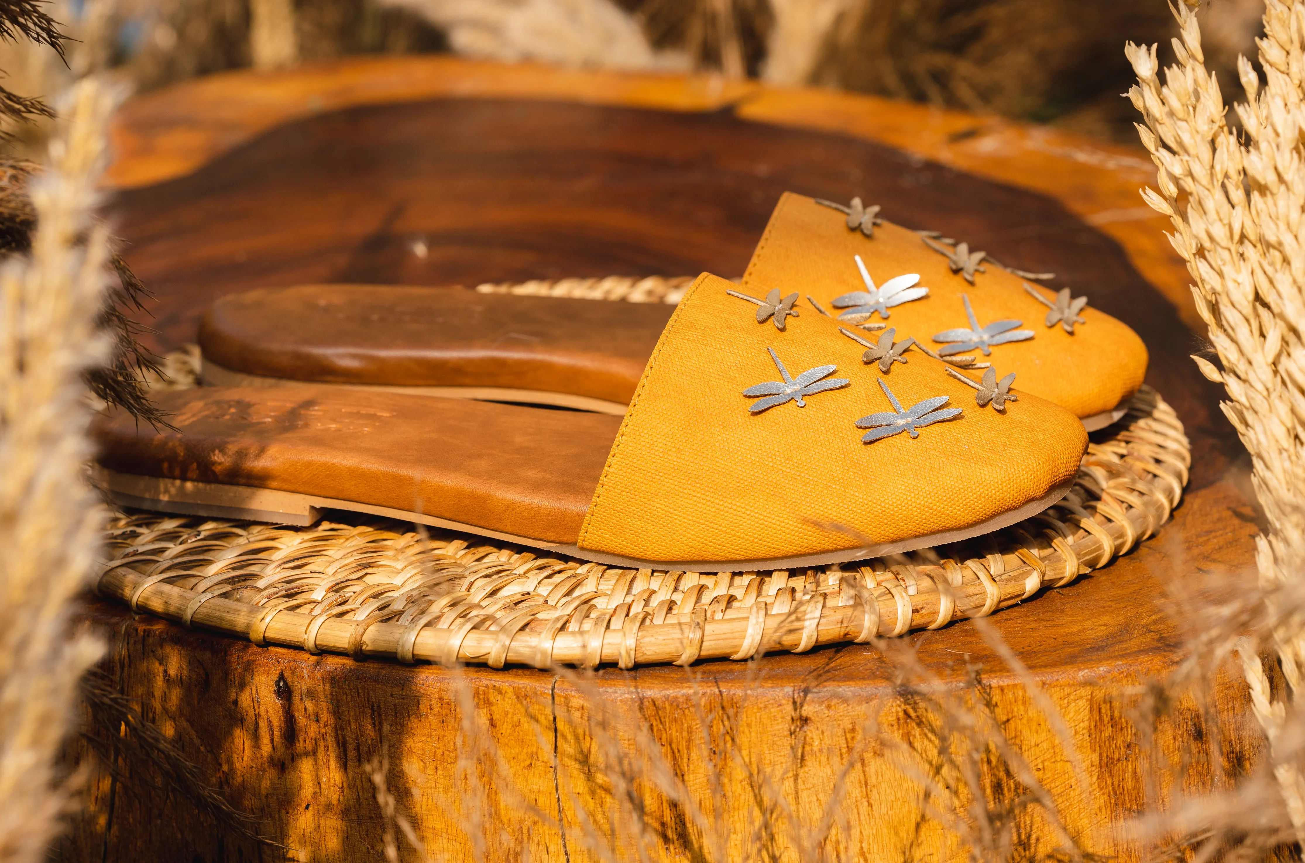 Dragonflies Mule