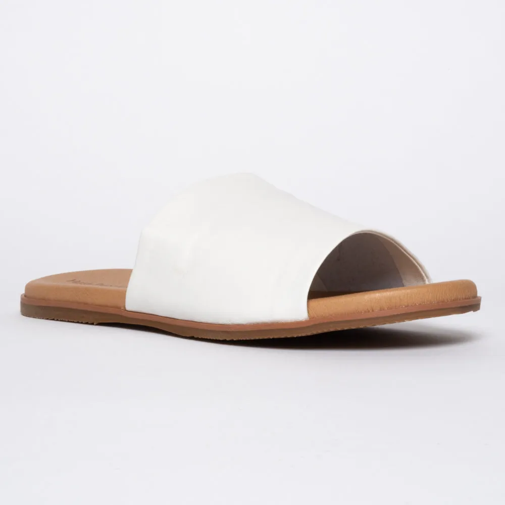 Paradise White