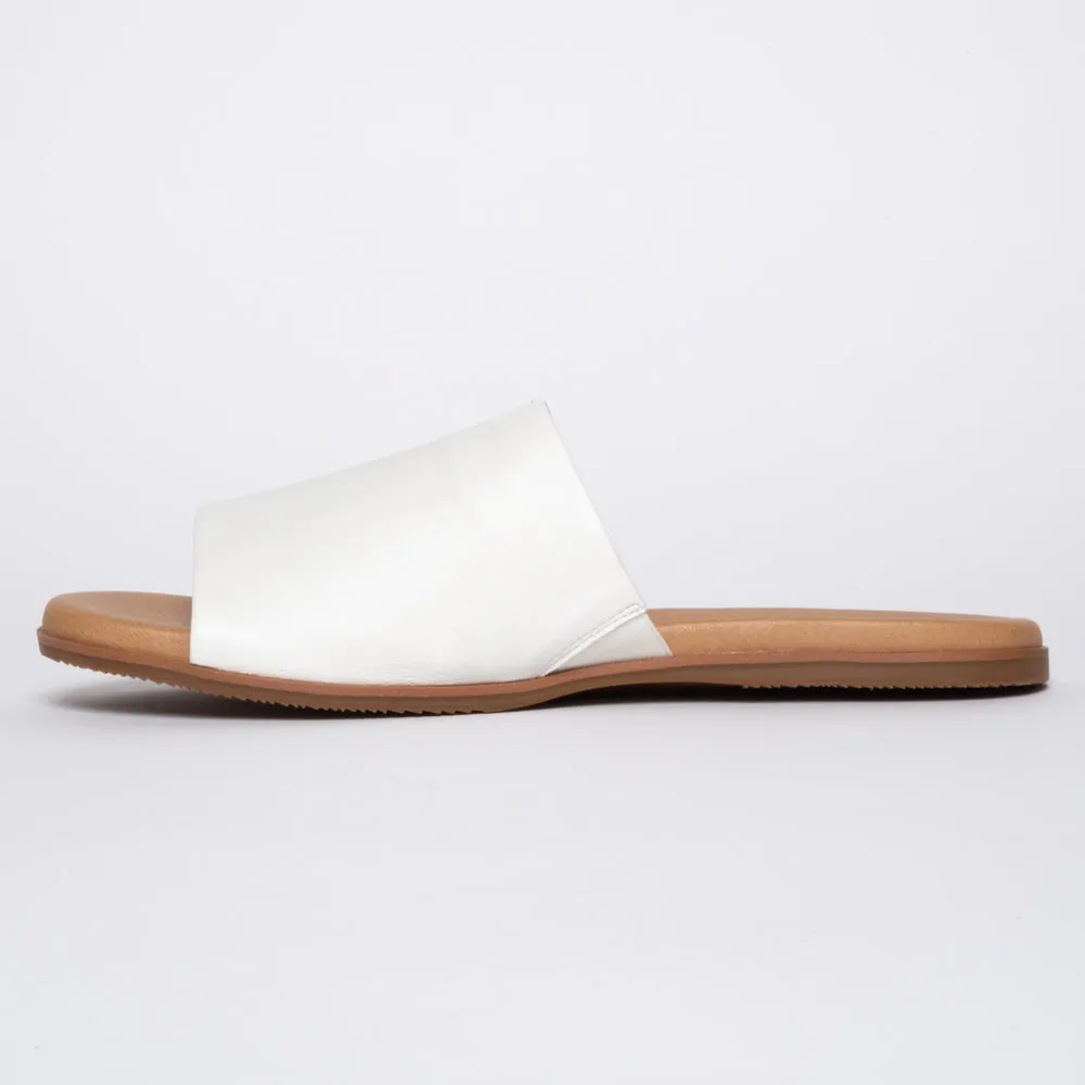 Paradise White