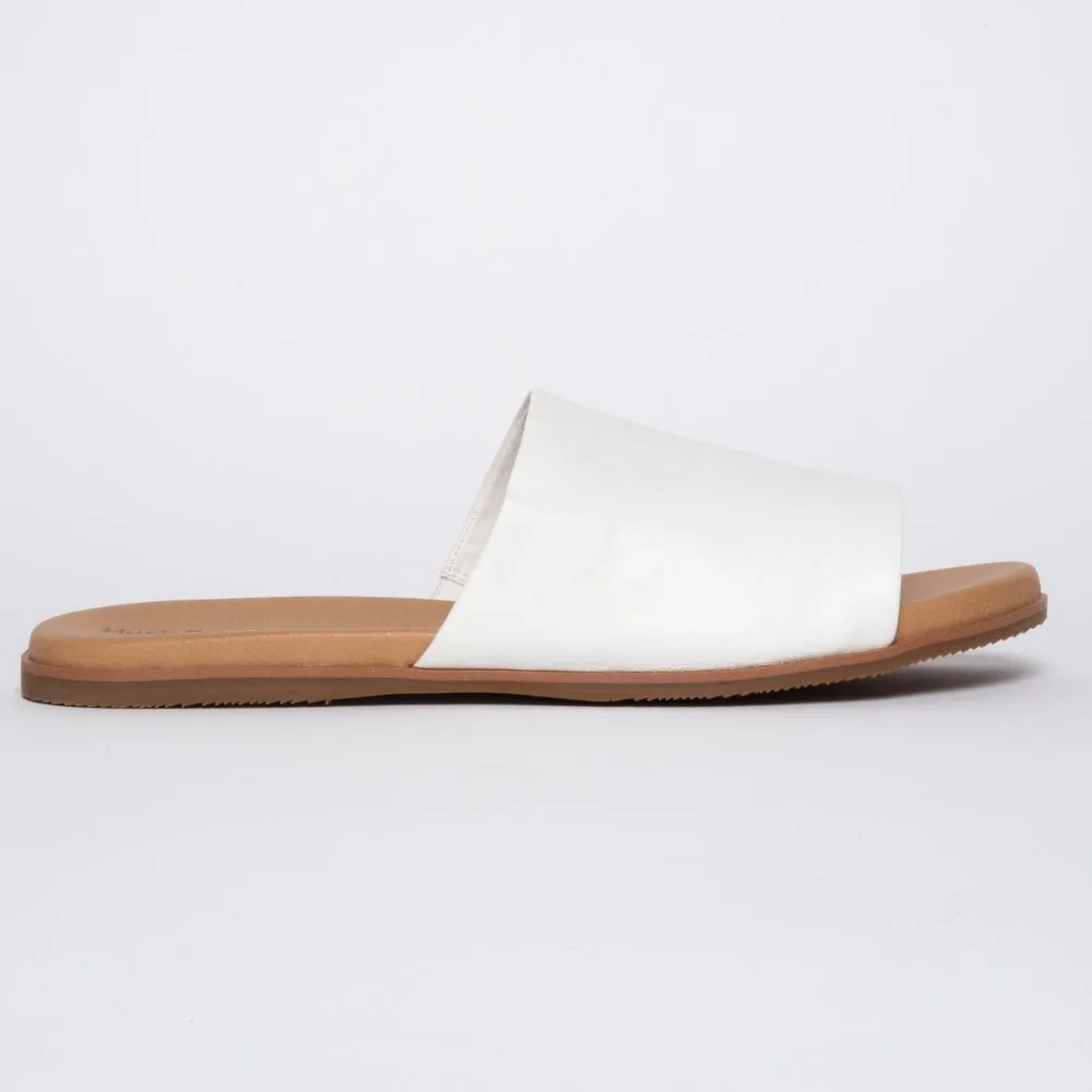 Paradise White