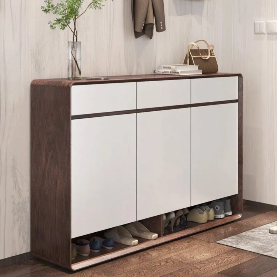 REVA Modern Shoe Cabinet