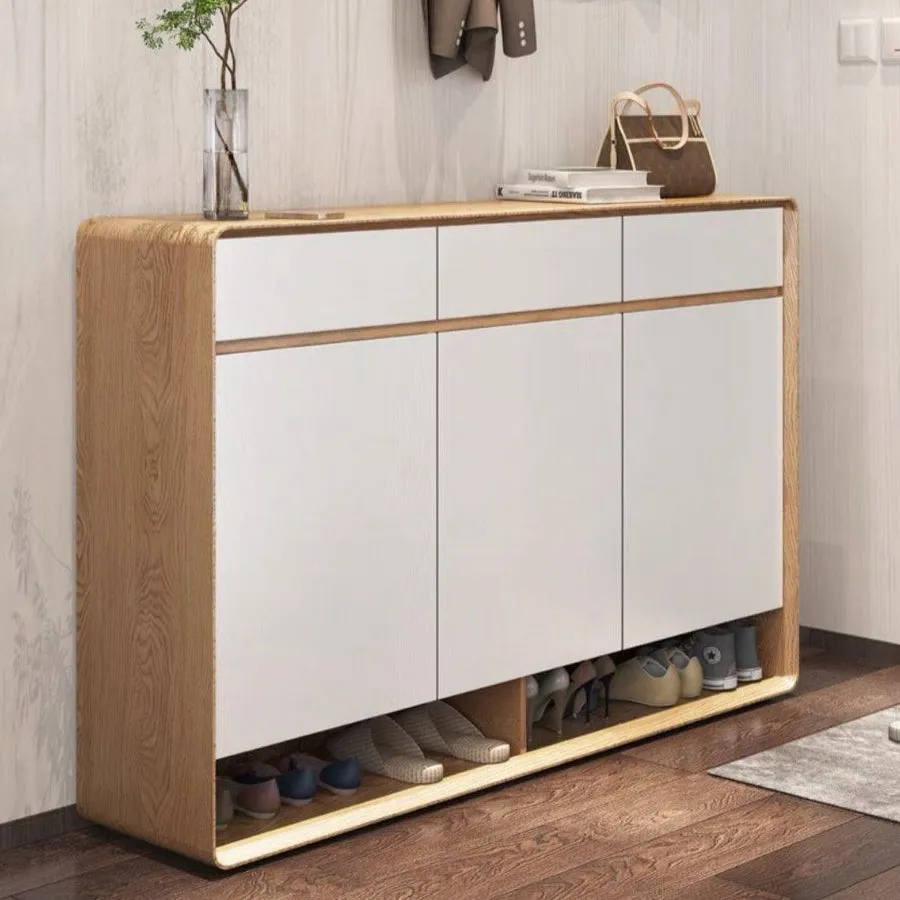 REVA Modern Shoe Cabinet