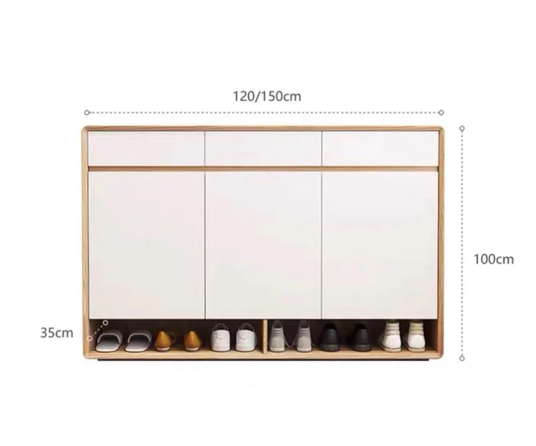 REVA Modern Shoe Cabinet