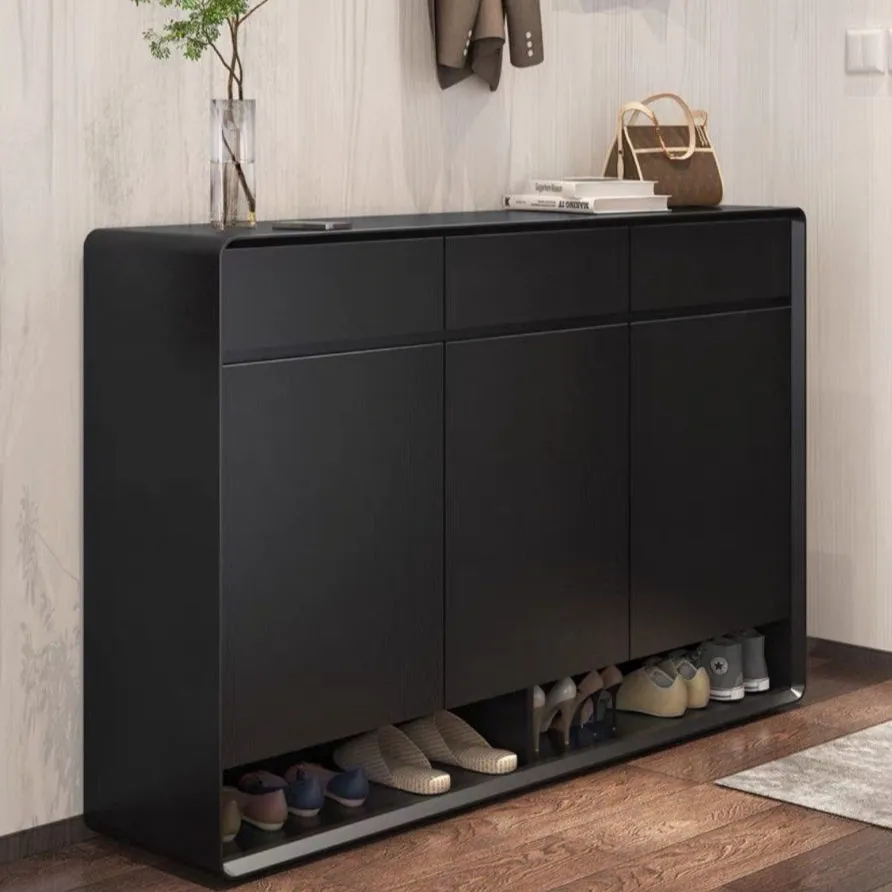REVA Modern Shoe Cabinet