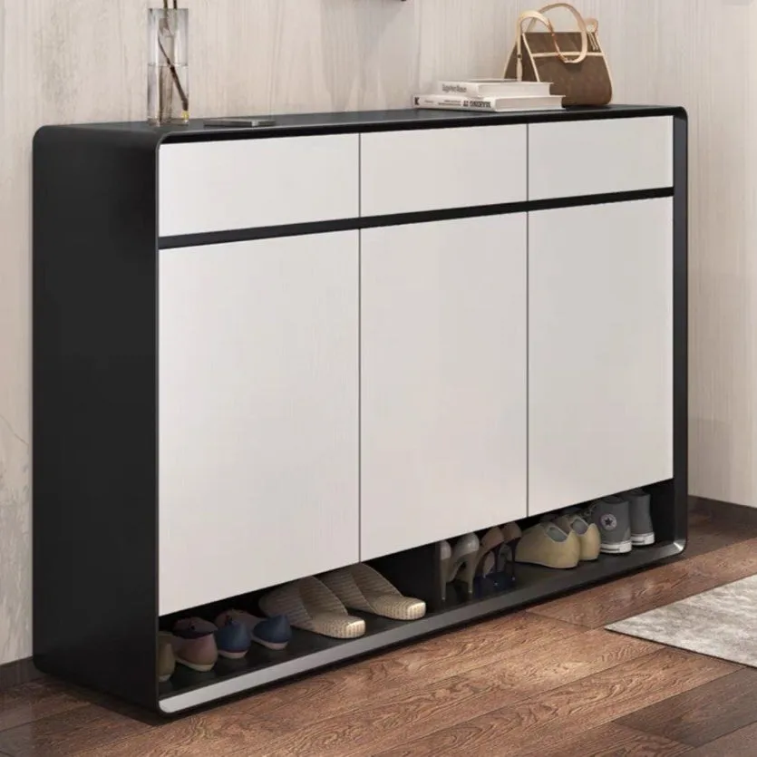 REVA Modern Shoe Cabinet