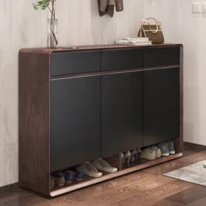 REVA Modern Shoe Cabinet