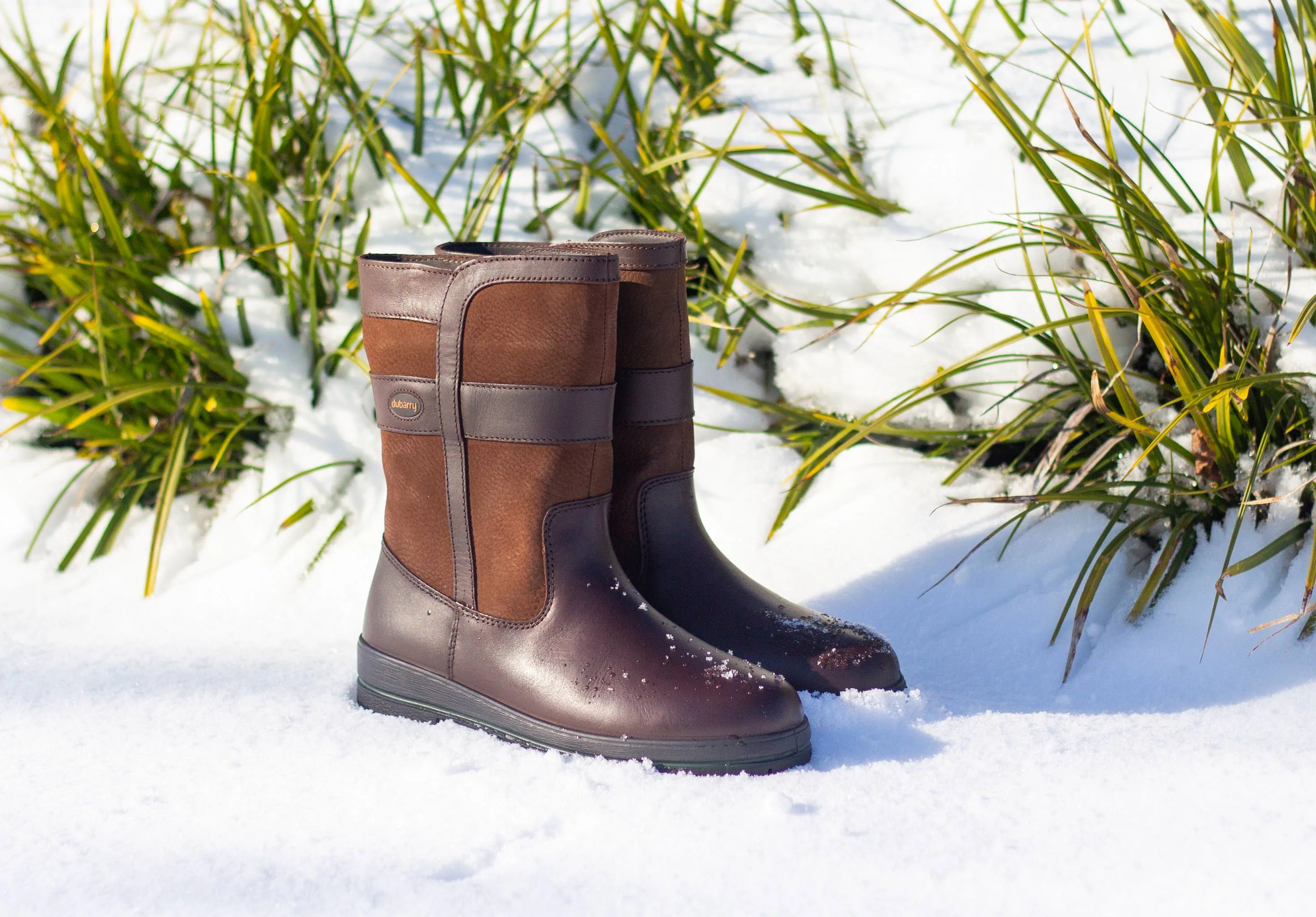 Roscommon Men's Short Rain Boot - Walnut