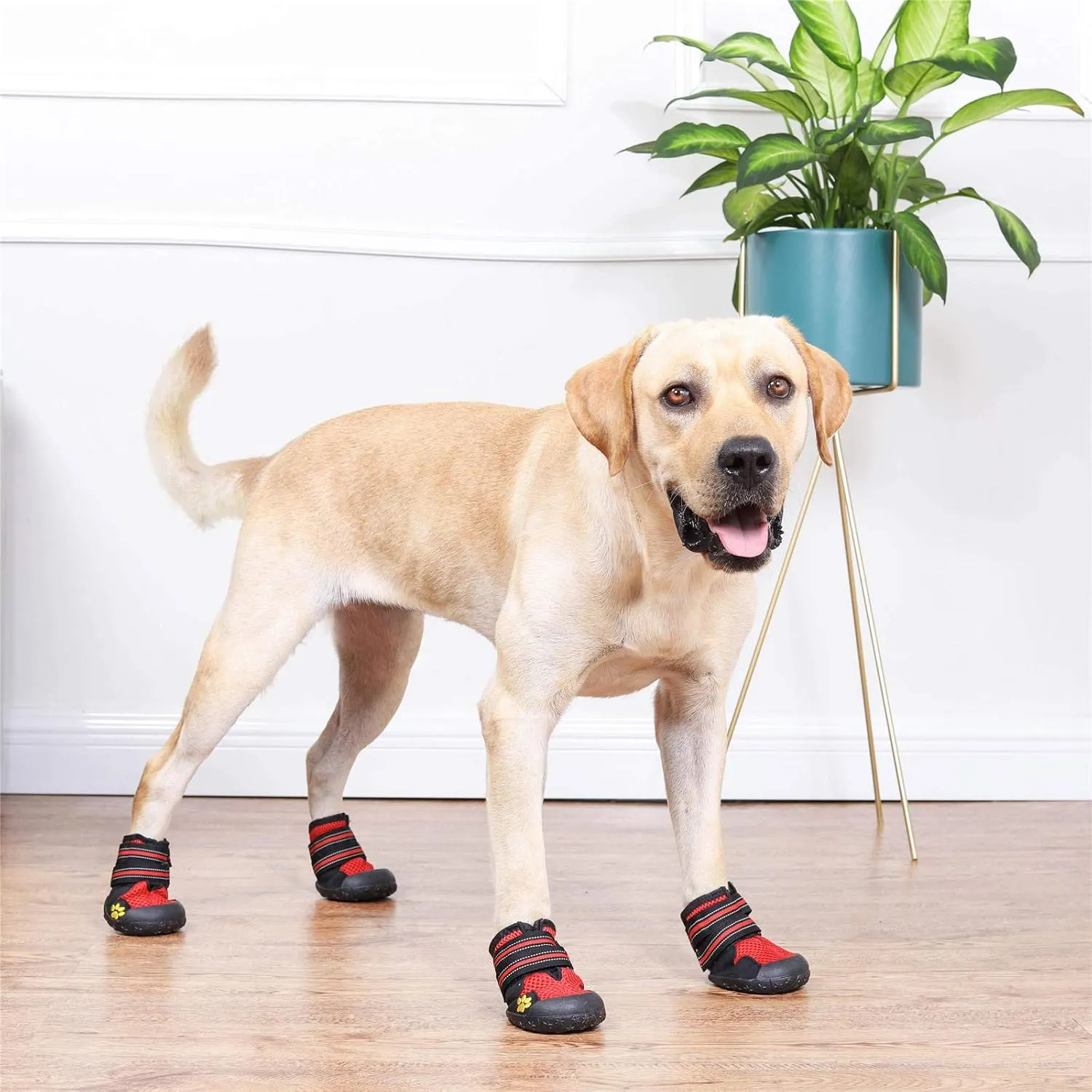 Summer Breathable Dog Boot Reflective Strap Rugged Nonslip Sole for Hot Pavement