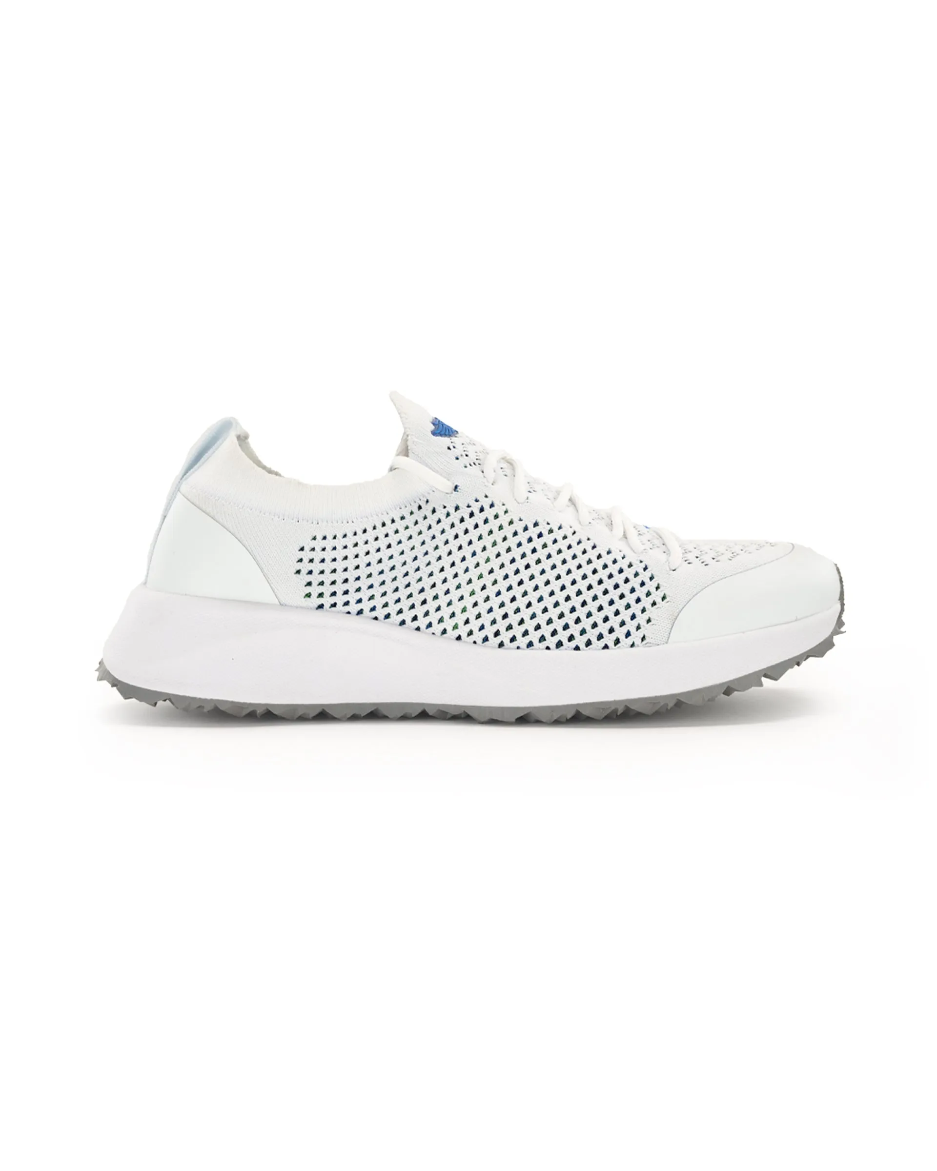 Swing Shoe
