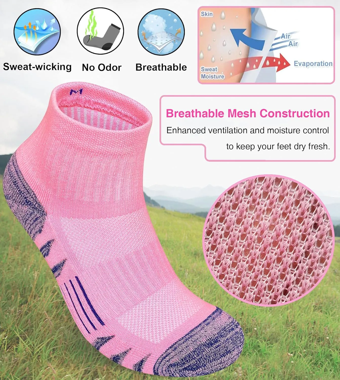 Womens Ankle Anti-blister Thick Cushioned Cotton Wicking Hiking Athletic Running Socks 5 Pairs